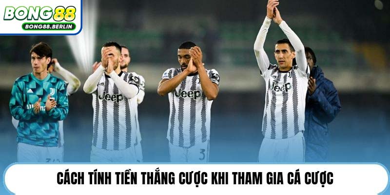 Cách tính tiền thắng cược khi tham gia cá cược